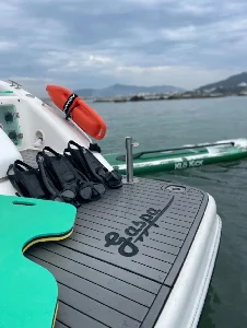 Phantom 290 2005 2x Mercury Mercruiser Alpha Diese