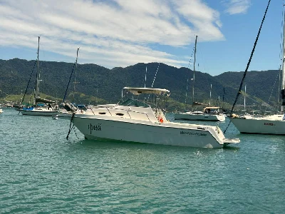 Wellcraft 260 WA