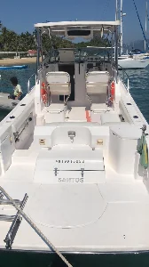 Wellcraft 260 WA