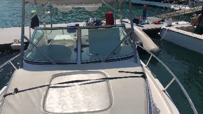 Wellcraft 260 WA