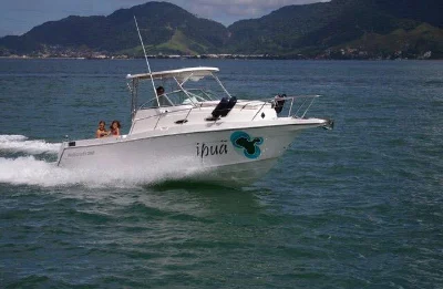 Wellcraft 260 WA