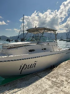 Wellcraft 260 WA