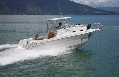 Wellcraft 260 WA