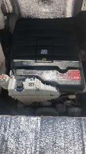 Wellcraft 260 WA