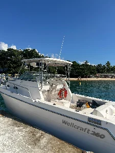 Wellcraft 260 WA