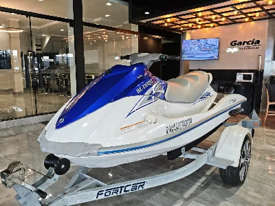 VX 1100