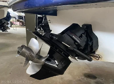 Clique para visualizar Triton 295