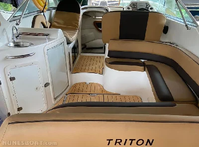 Clique para visualizar Triton 295