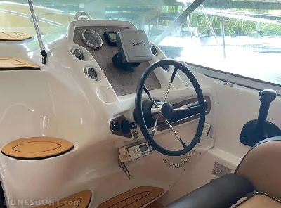 Clique para visualizar Triton 295