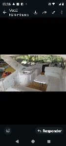 Phantom 290
