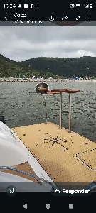 Phantom 290