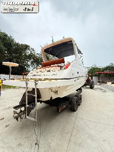 Clique para visualizar Phoenix Boats Platinum 290