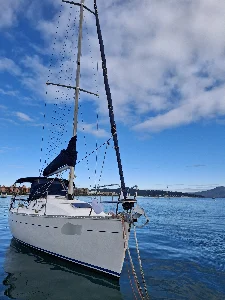 Delta 32