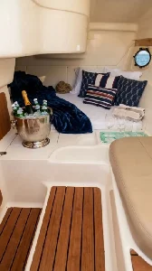 Coral 26