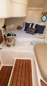 Coral 26