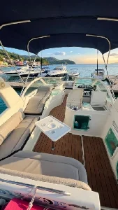 Coral 26