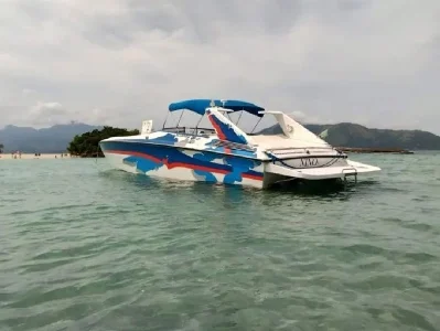 Scarab 38