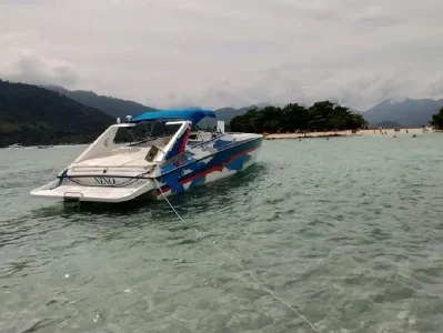 Scarab 38