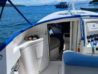 Scarab 38