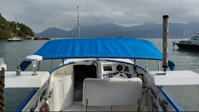 Scarab 38