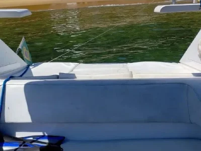 Scarab 38