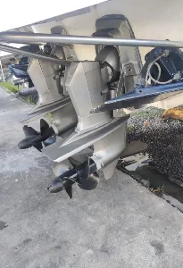 Scarab 38