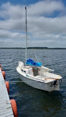 Potter AX 15