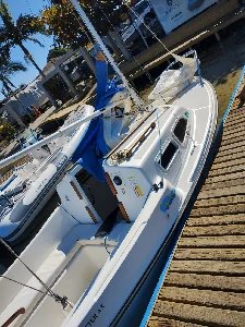 Potter AX 15