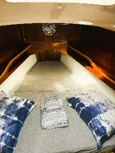 Delta 36