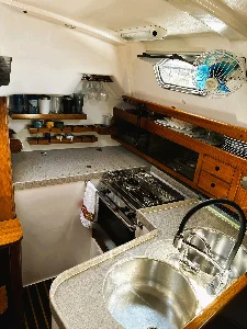 Delta 36