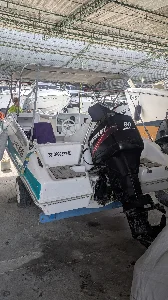 Clique para visualizar REAL Eagle 180