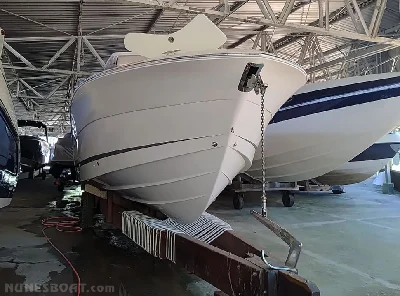 Fishing Raptor 35