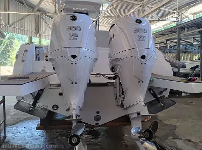 Clique para visualizar Fishing Raptor 35
