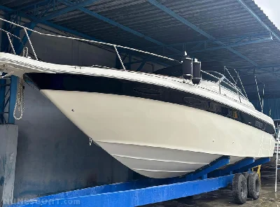 Clique para visualizar Sea Ray 300