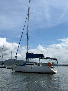 Delta 26