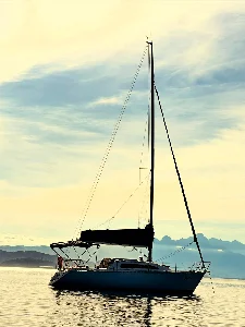 Delta 26