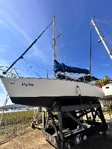 Delta 26