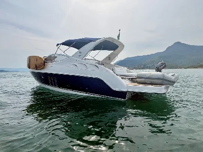 Phantom 300