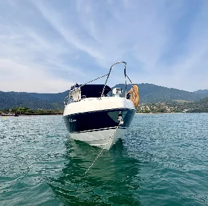 Phantom 300