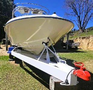 Bayliner Capri 2150 ZX