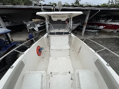 Wellcraft 260 WA