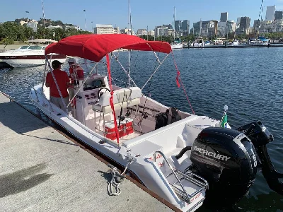 Wellcraft 220 CC