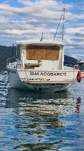 Southern Voyager 28