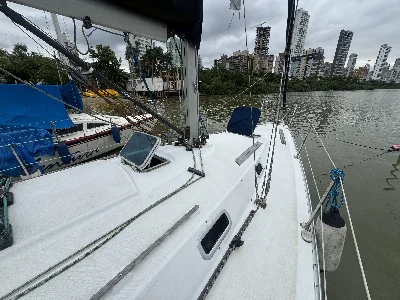 Clique para visualizar Bramador 34