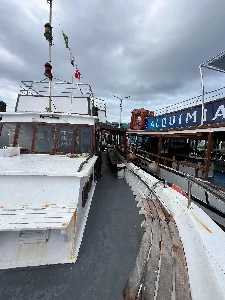 Clique para visualizar Barco Comercial Mister M– 64 Passageiros MWM 6