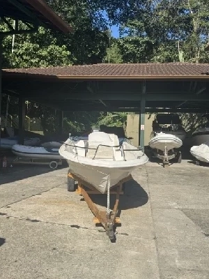 Clique para visualizar Voadeira /pesca