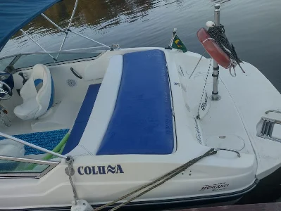 Clique para visualizar Colunna 235