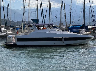 Clique para visualizar Cobra 40