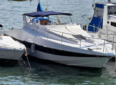 Clique para visualizar Cobra 40