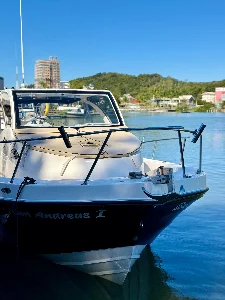 Clique para visualizar FLY FISH 280 | 2015 | PARELHA YAMAHA 400 HP